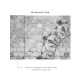 Affreschi & Affreschi | Carpe Diem | CD029